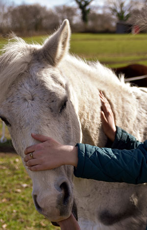 Foto Jennifer Bridstrup manuelle therapie