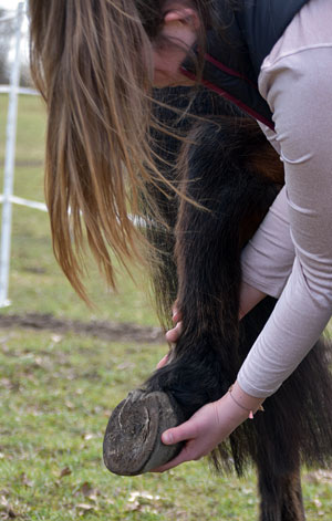 Dehnen (Foto Jennifer Bridstrup) manuelle therapie dehnen